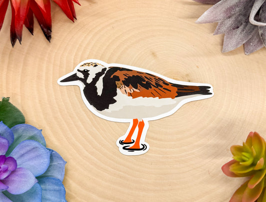 Ruddy Turnstone Sticker