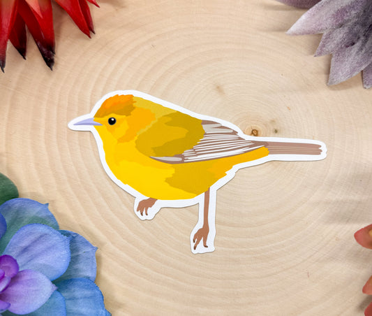 Orange Crowned Warbler Sticker