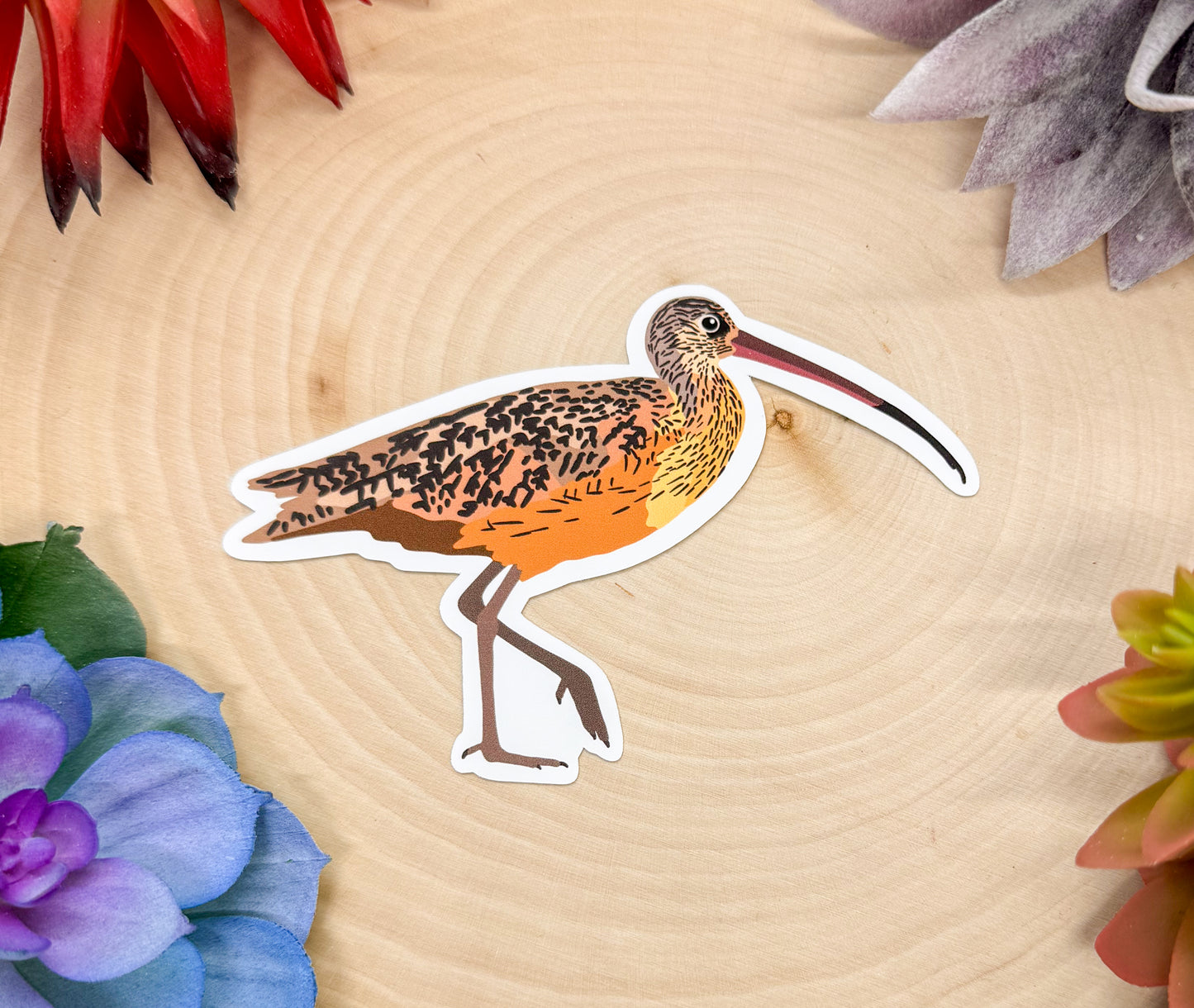 Long Billed Curlew Sticker