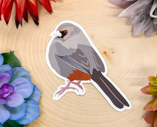 California Towhee Sticker