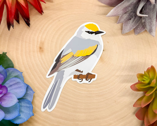 Brewster's Warbler Sticker