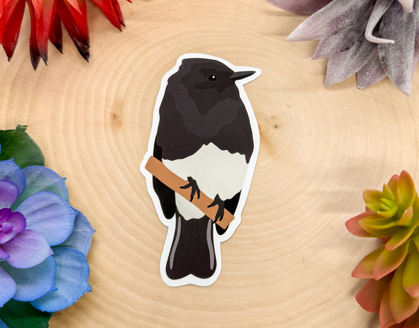 Black Phoebe Sticker