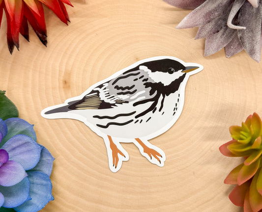 Blackpoll Warbler Sticker