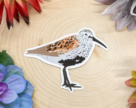 Dunlin Sticker