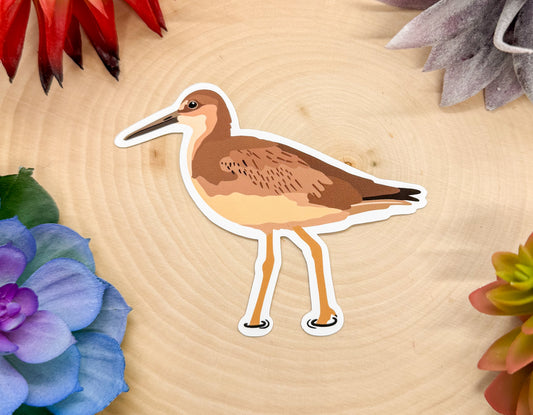 Willet Sticker