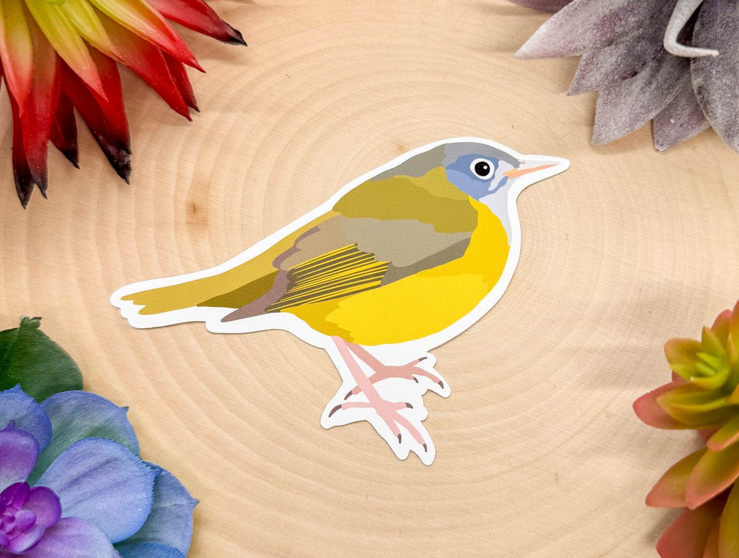 Connecticut Warbler Sticker