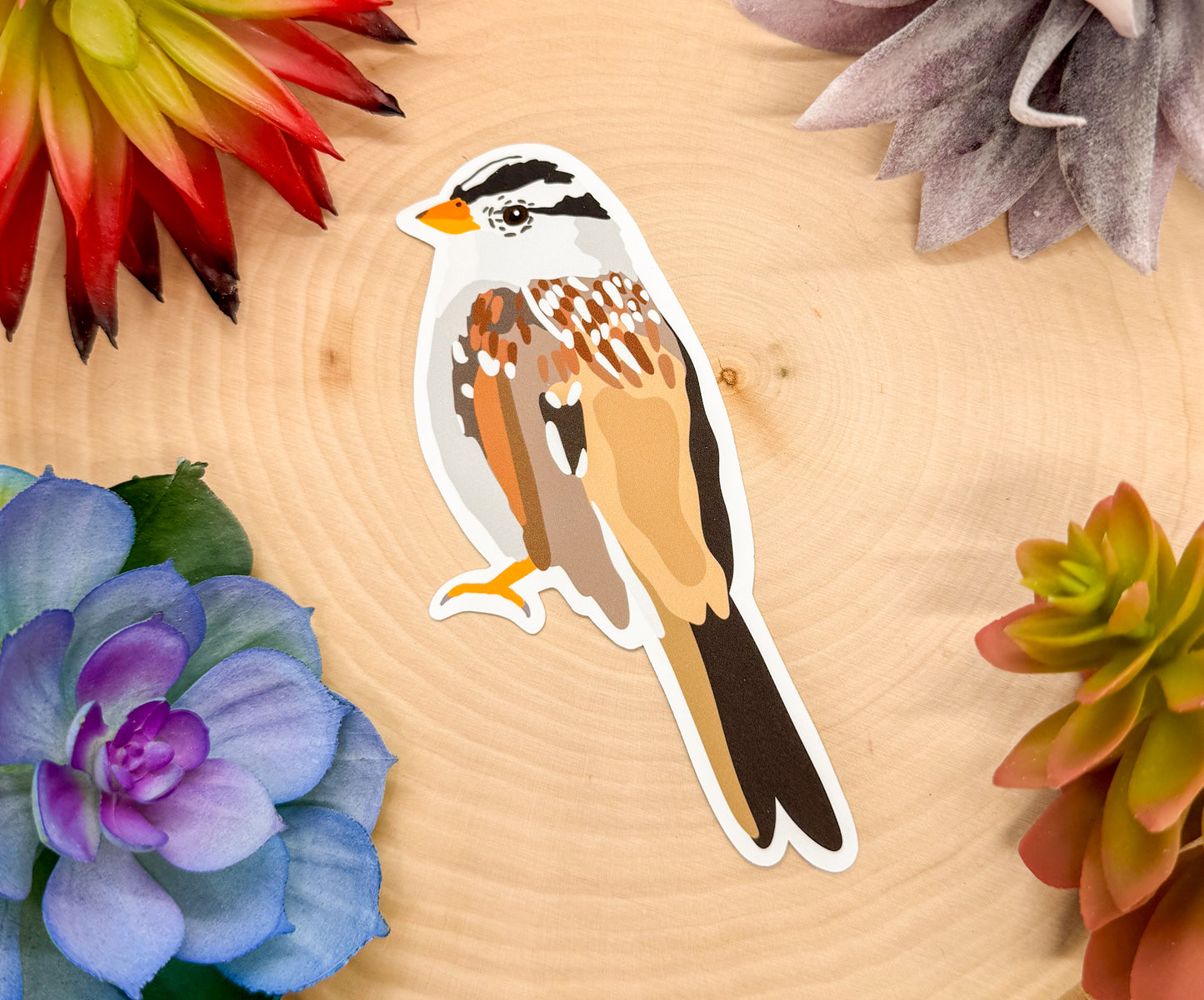 White Crowned Sparrow Sticker