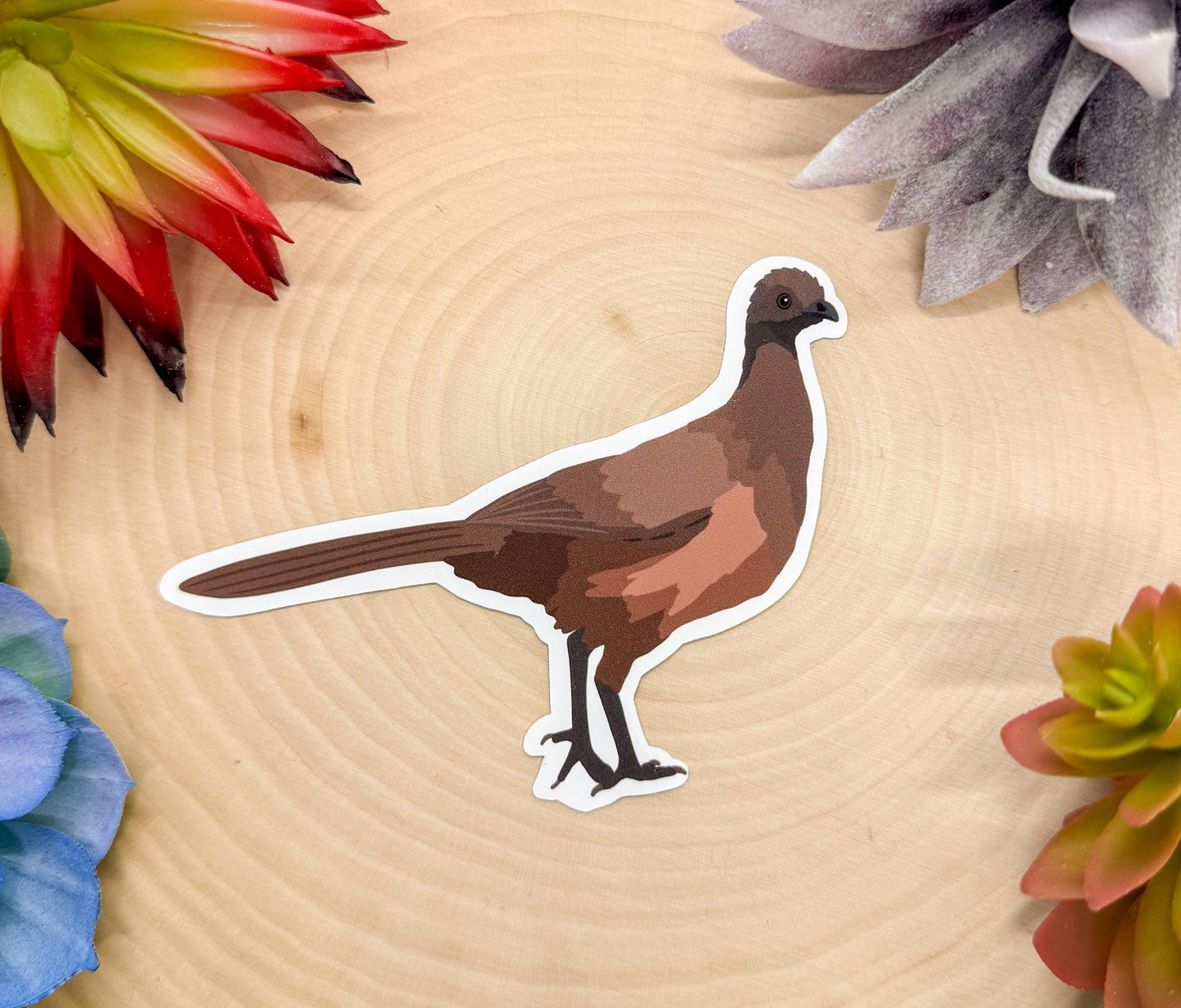 Chachalaca Sticker