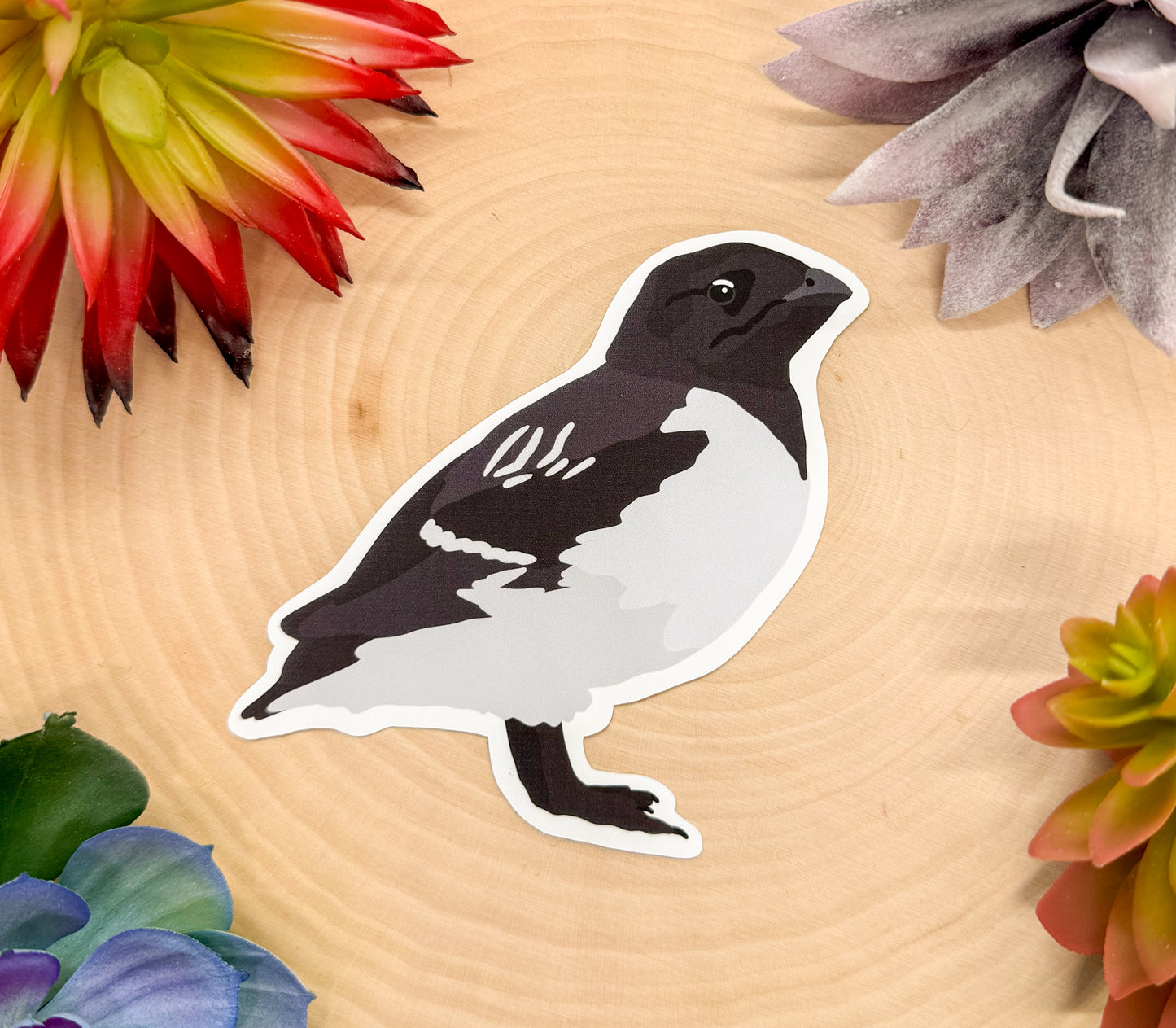 Dovekie Sticker