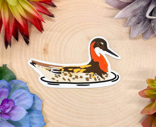 Red Necked Phalarope Sticker