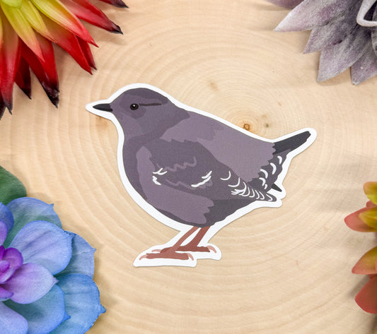 American Dipper Sticker