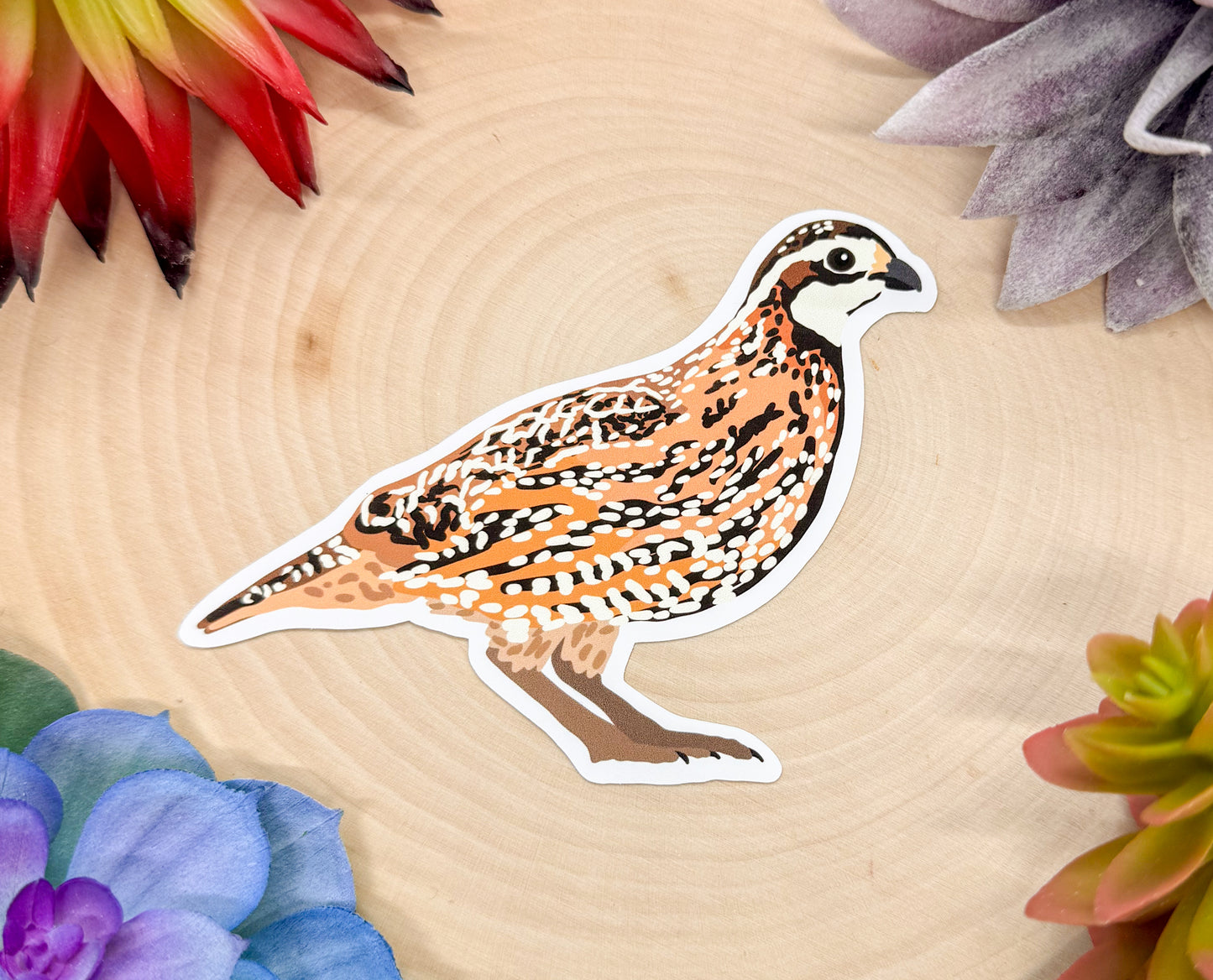 Northern Bobwhite Quail Sticker