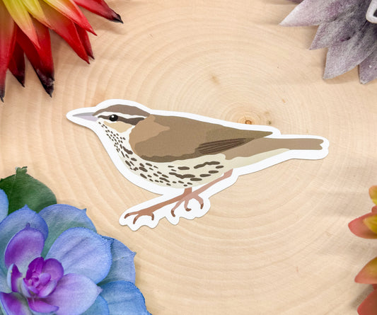 Northern Waterthrush Sticker