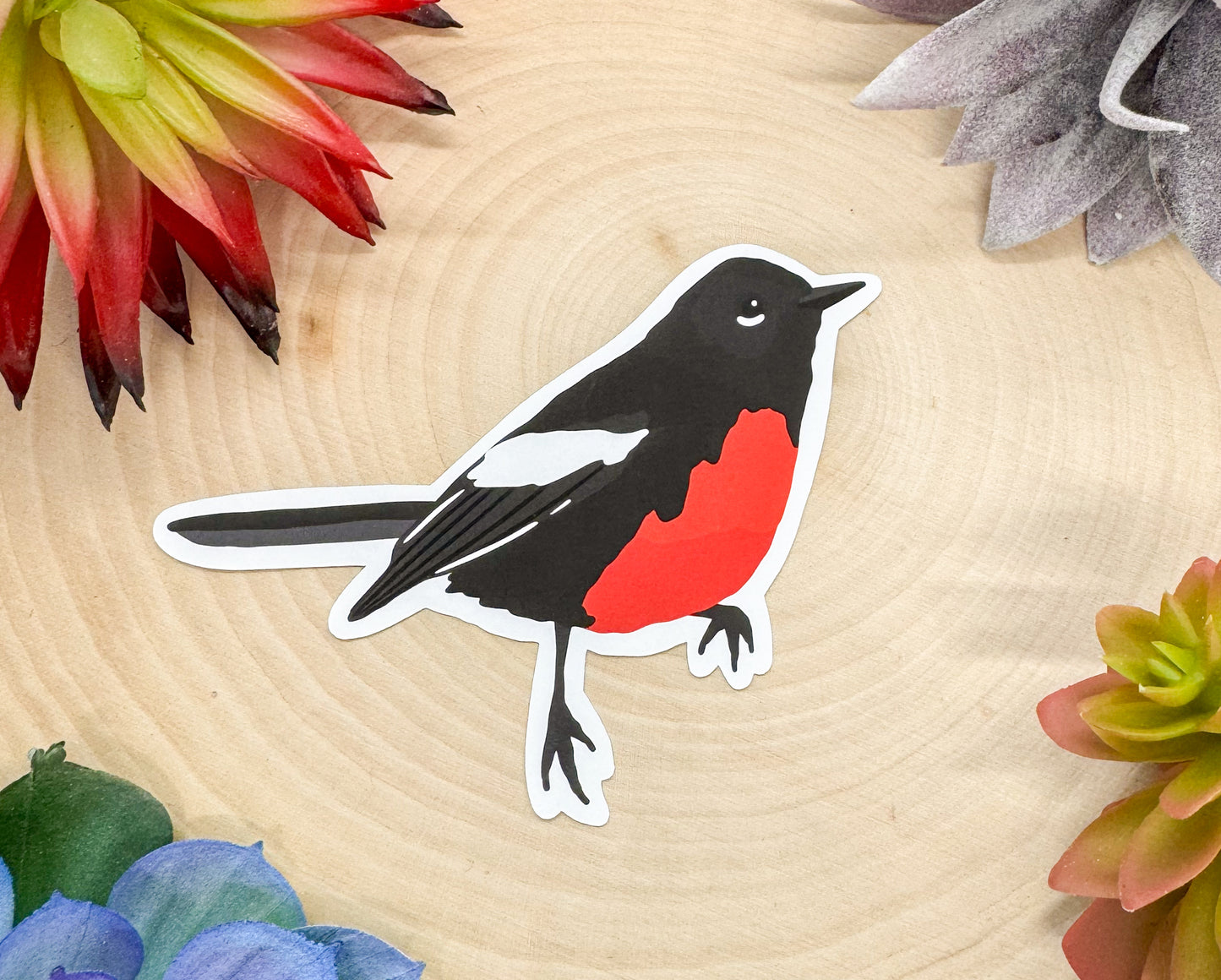 Painted Redstart Sticker