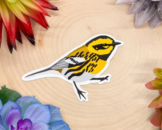 Townsend's Warbler Sticker