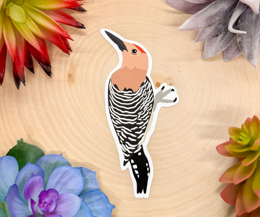 Gila Woodpecker Sticker