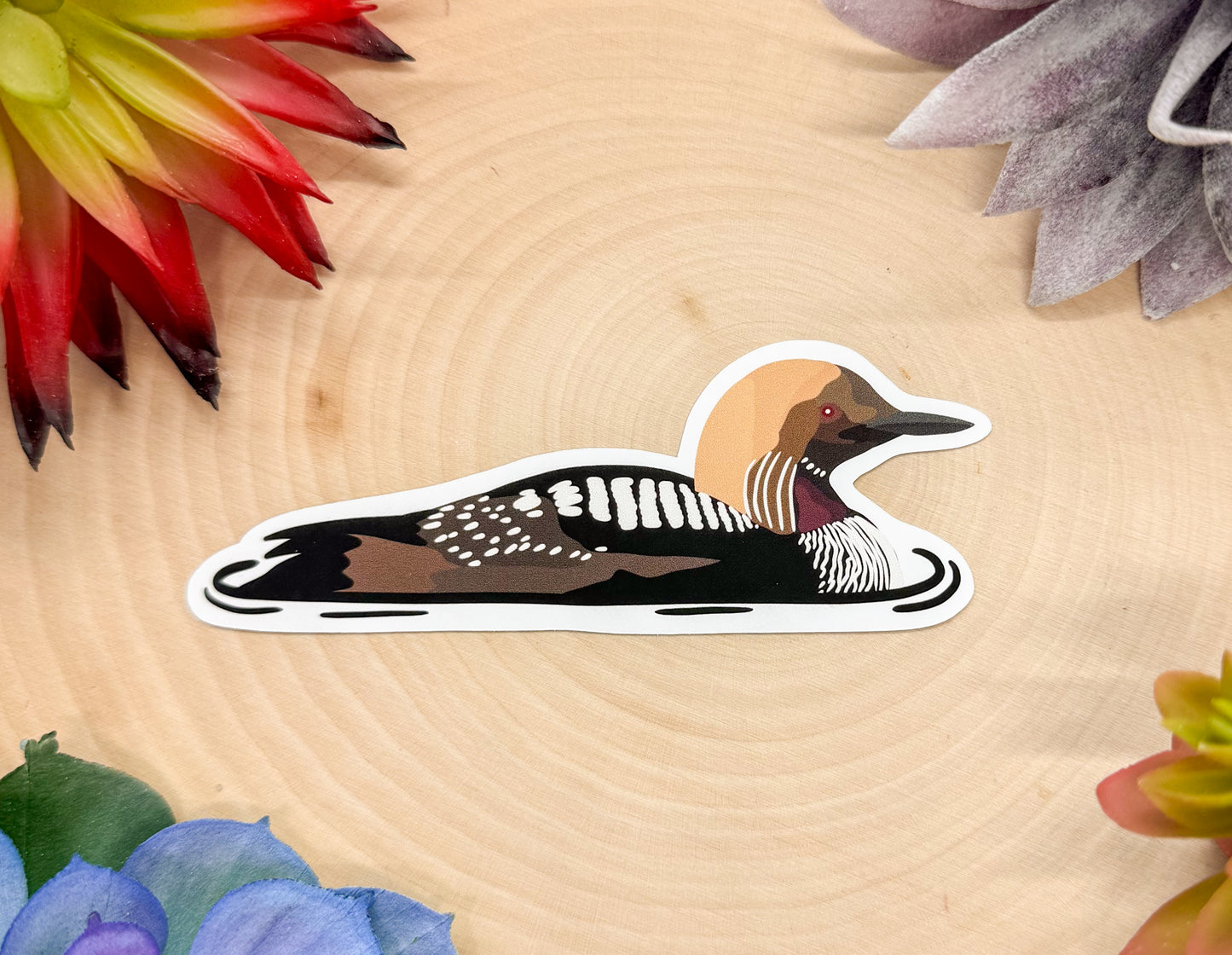 Pacific Loon Sticker