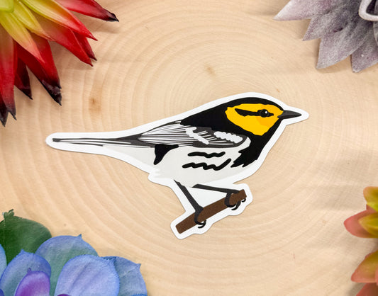 Golden Cheeked Warbler Sticker