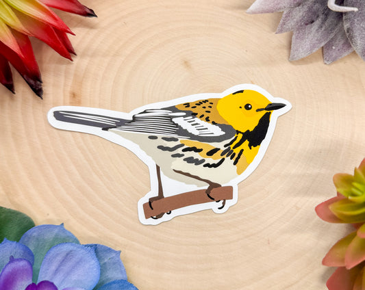 Hermit Warbler Sticker