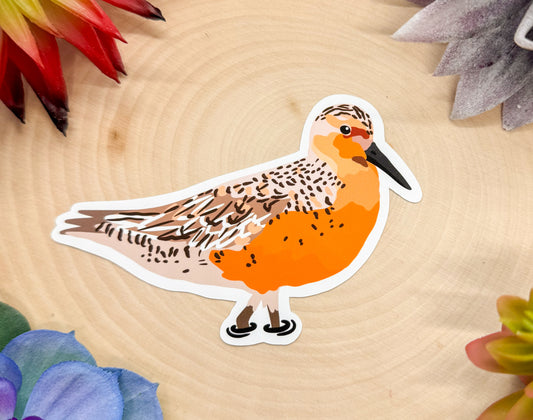 Red Knot Sticker