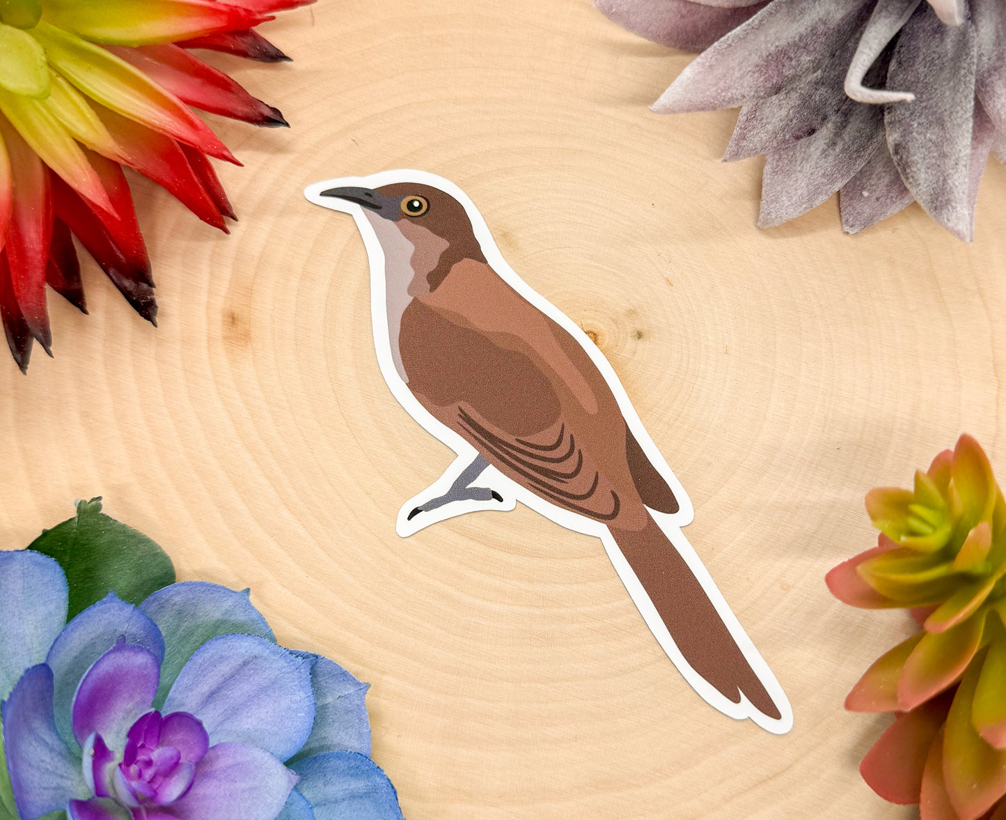 Black Billed Cuckoo Sticker