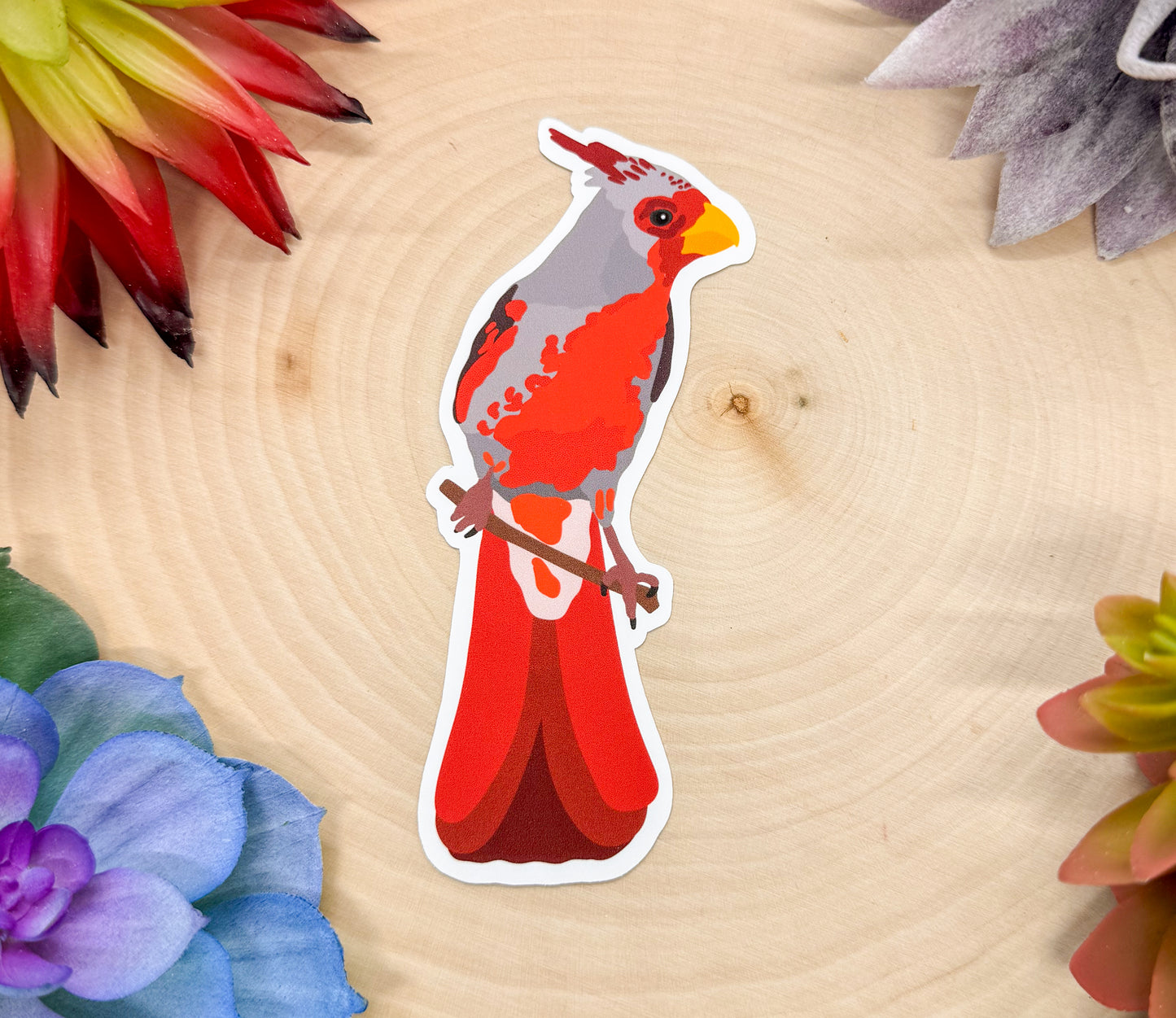 Pyrrhuloxia Sticker