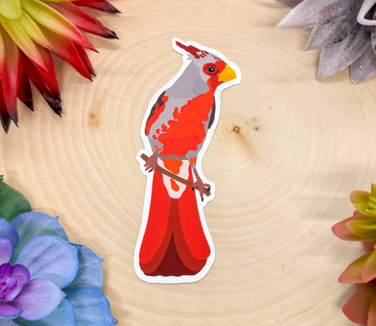 Pyrrhuloxia Sticker