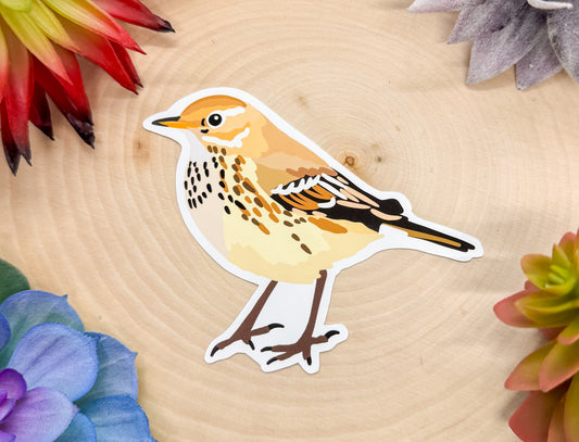 American Pipit Sticker