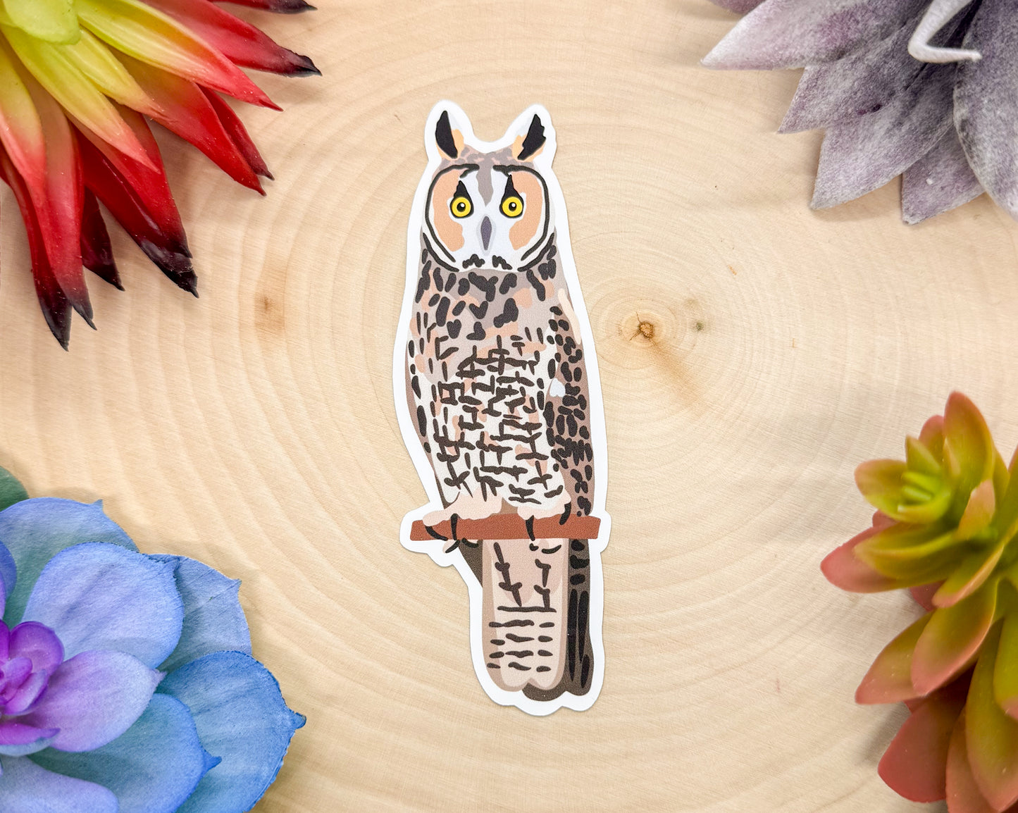 Long Eared Owl Sticker