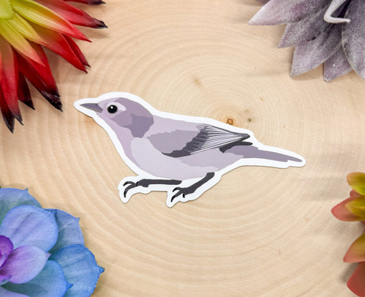 Lucy's Warbler Sticker