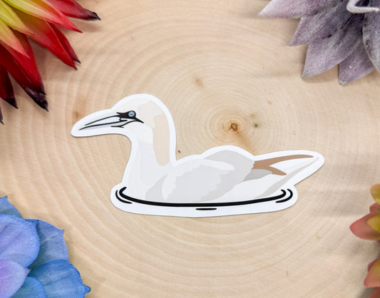 Northern Gannet Sticker