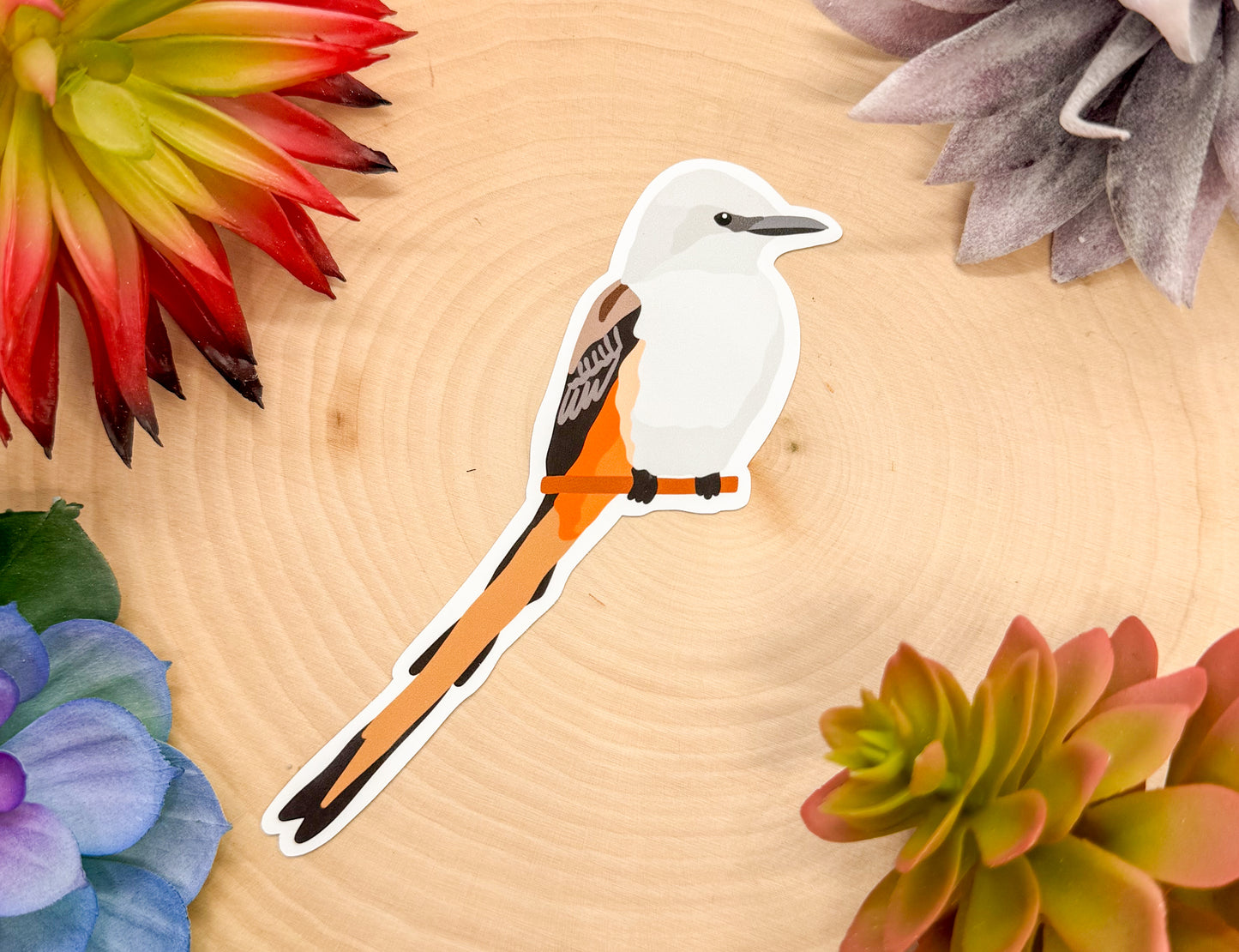 Scissor Tailed Flycatcher Sticker