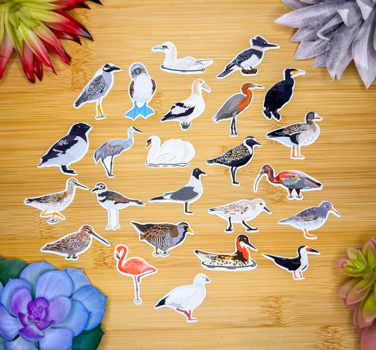 Mini Water Bird Sticker Pack 1