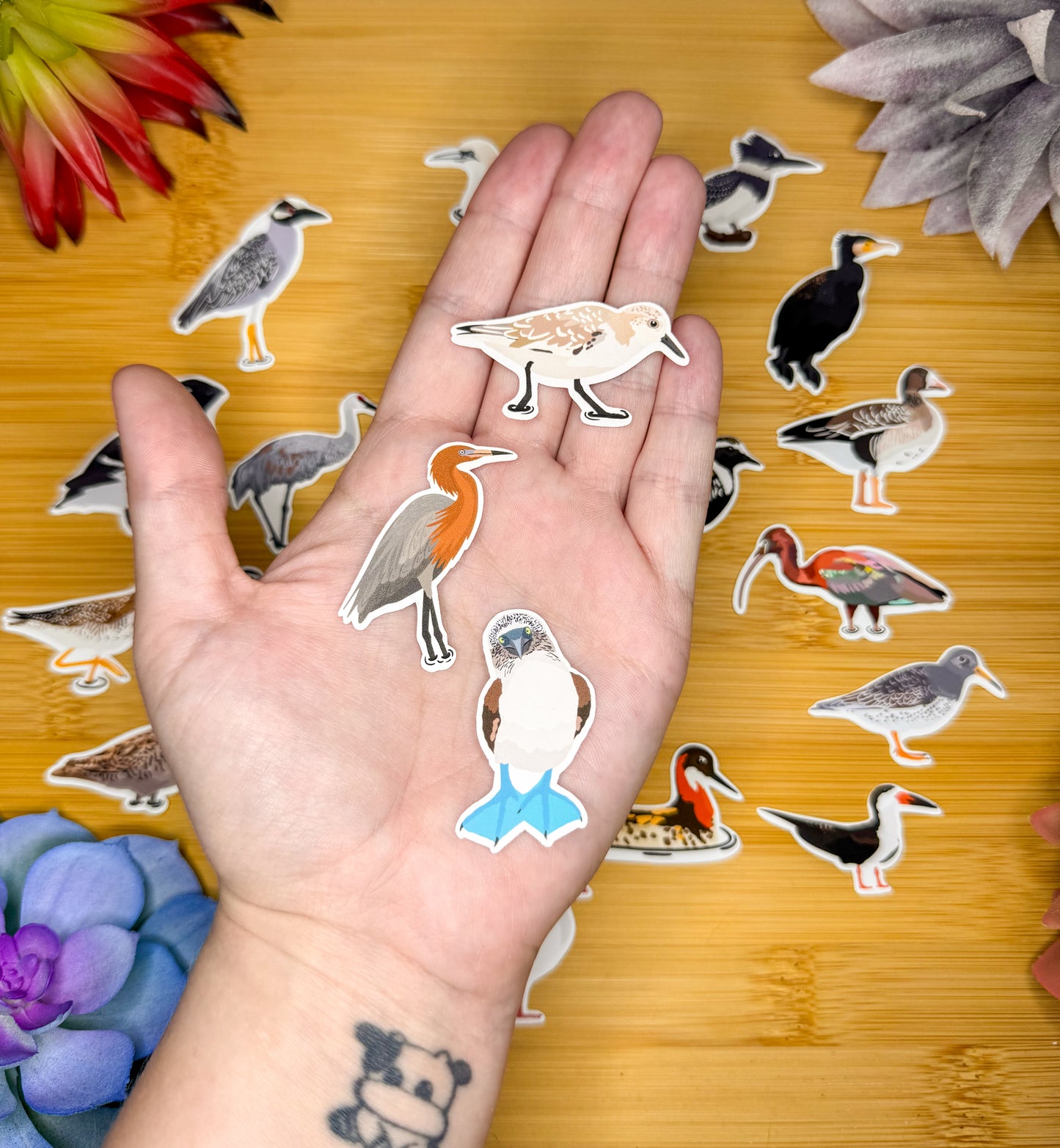 Mini Water Bird Sticker Pack 1