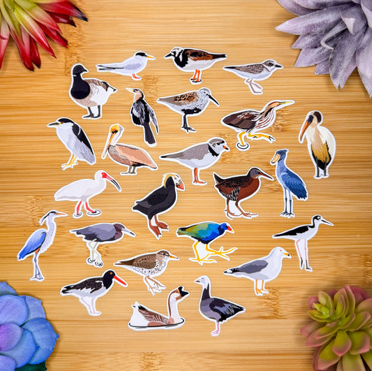 Mini Water Bird Sticker Pack 2