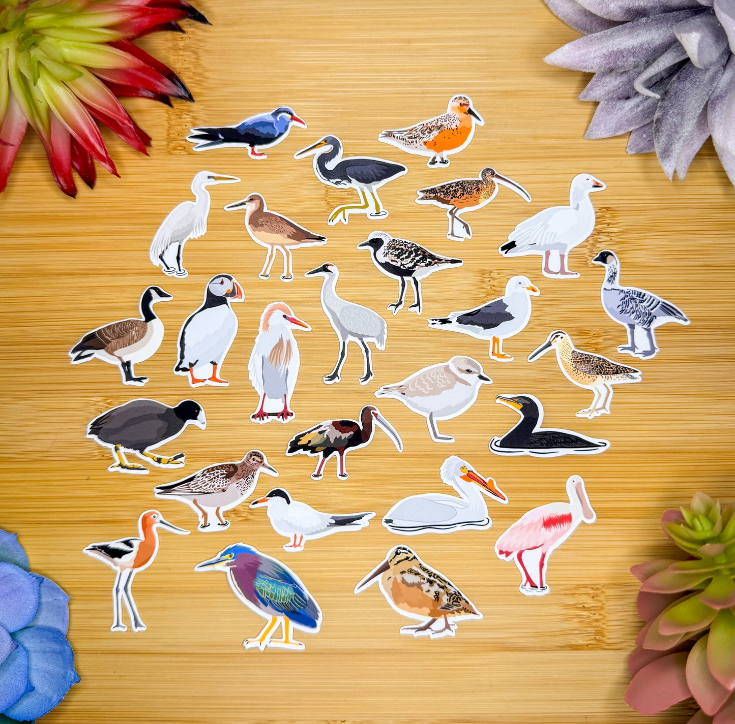 Mini Water Bird Sticker Pack 3