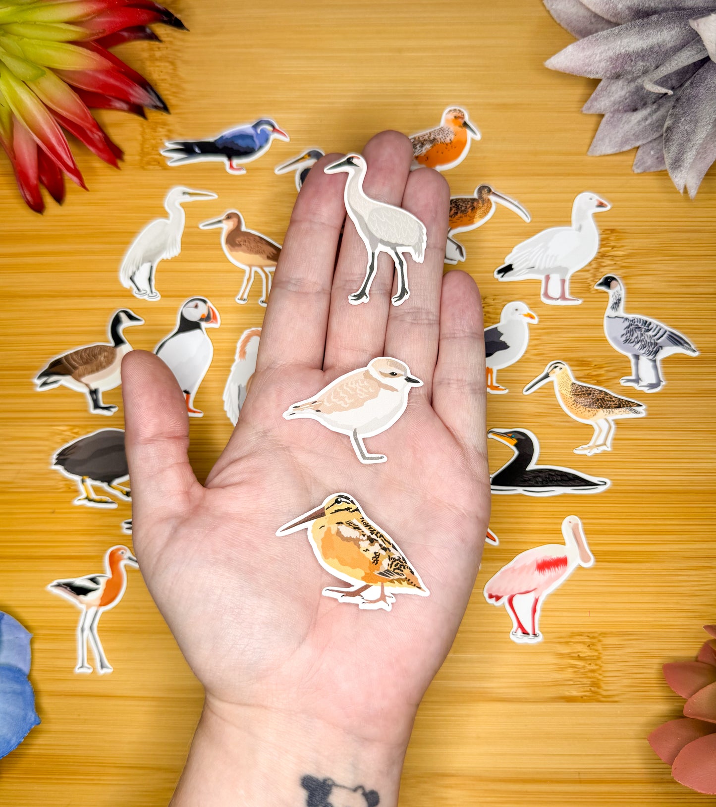 Mini Water Bird Sticker Pack 3