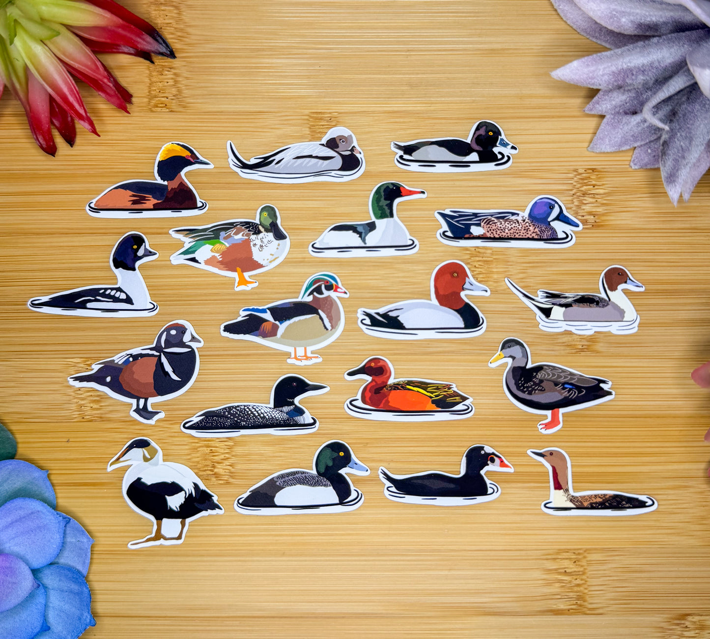 Mini Duck Sticker Pack 1