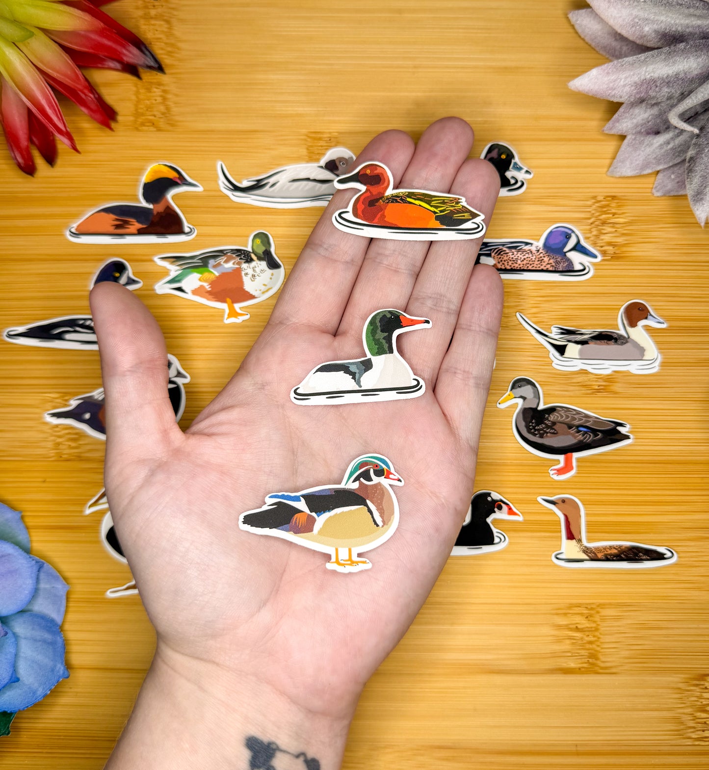 Mini Duck Sticker Pack 1