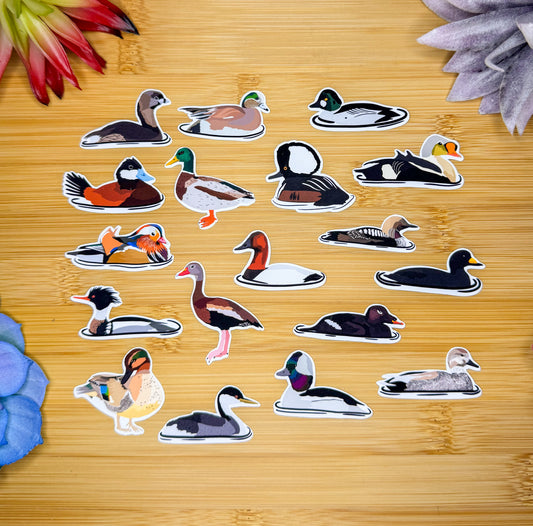 Mini Duck Sticker Pack 2