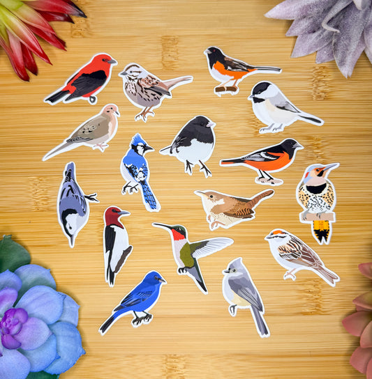 Mini Backyard Birds Sticker Pack 1