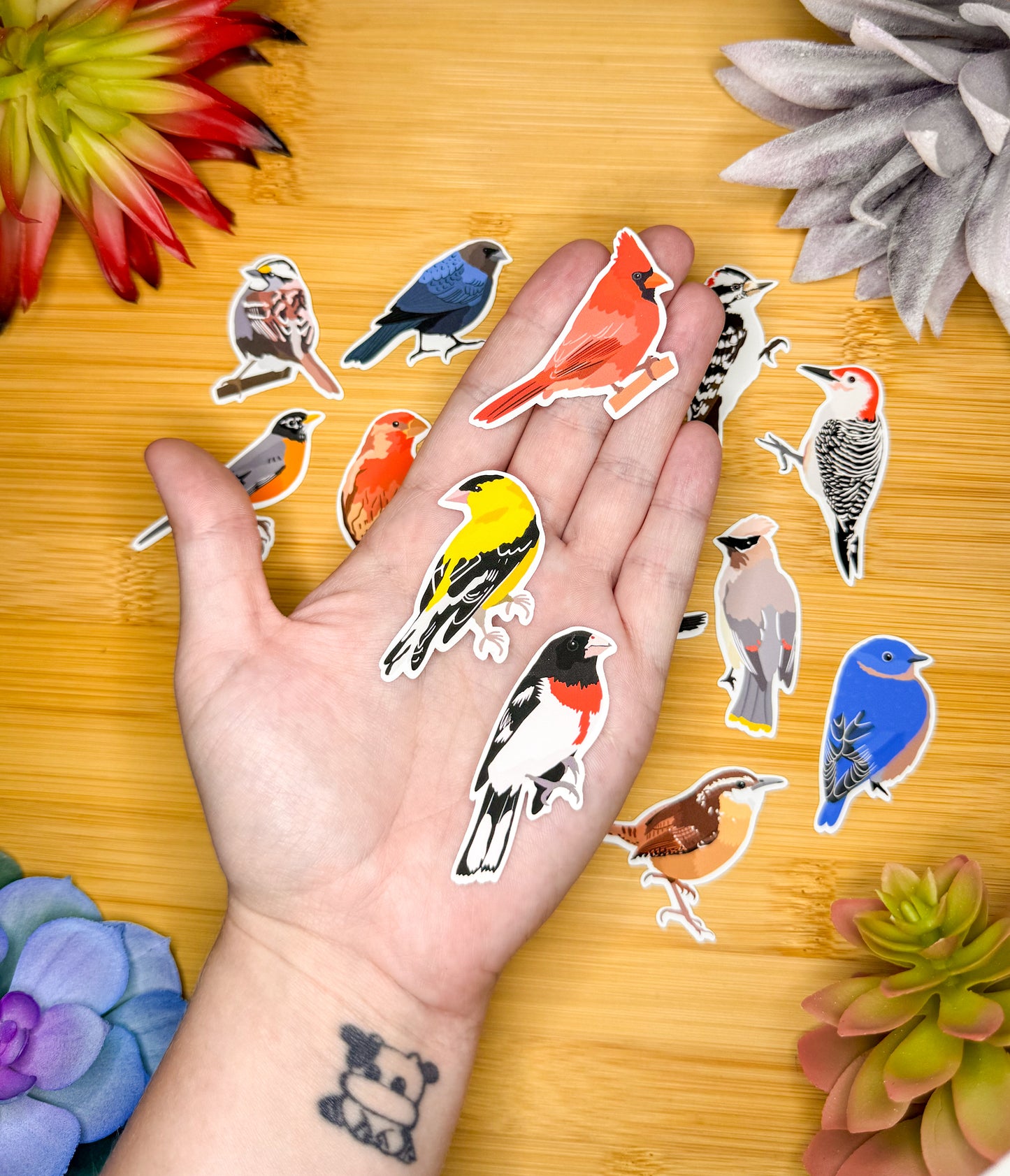 Mini Backyard Birds Sticker Pack 2