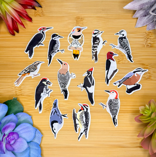 Mini Woodpecker Sticker Pack