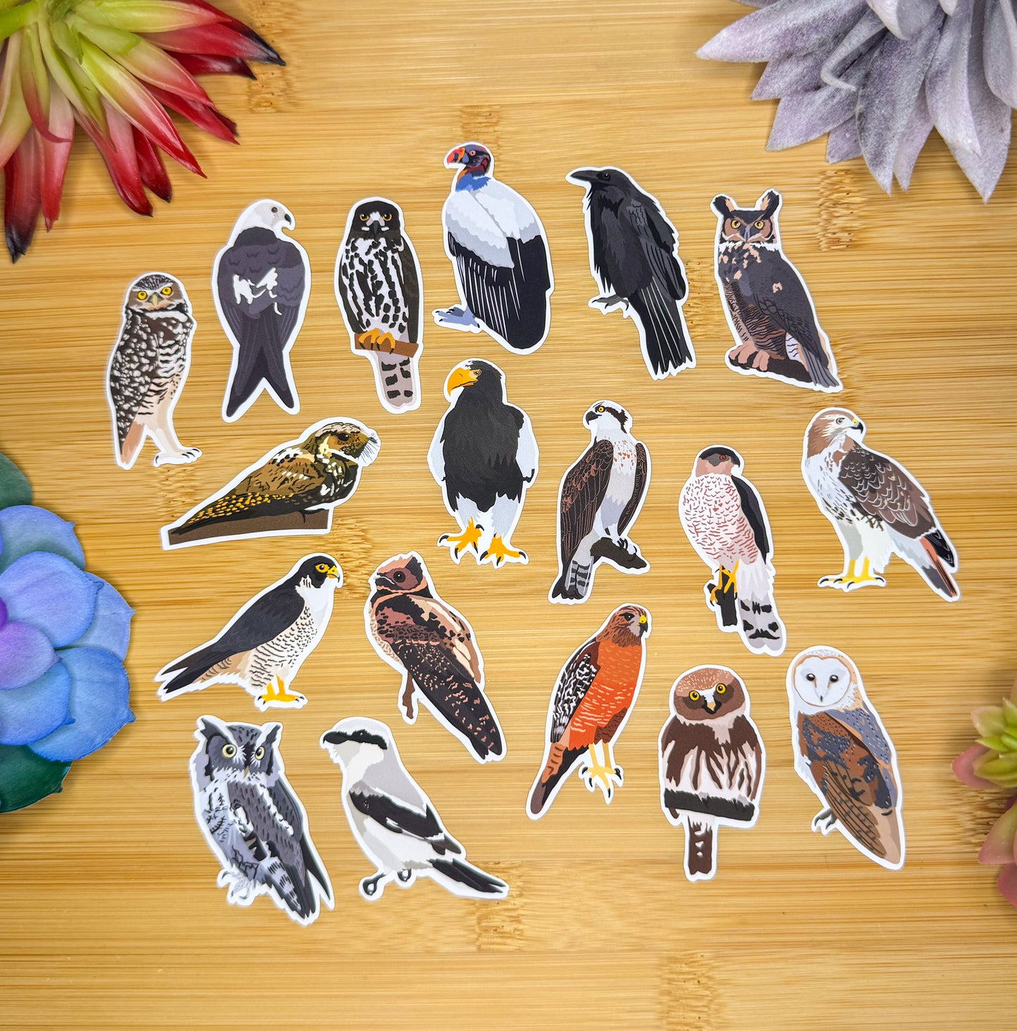 Mini Birds of Prey Sticker Pack 1