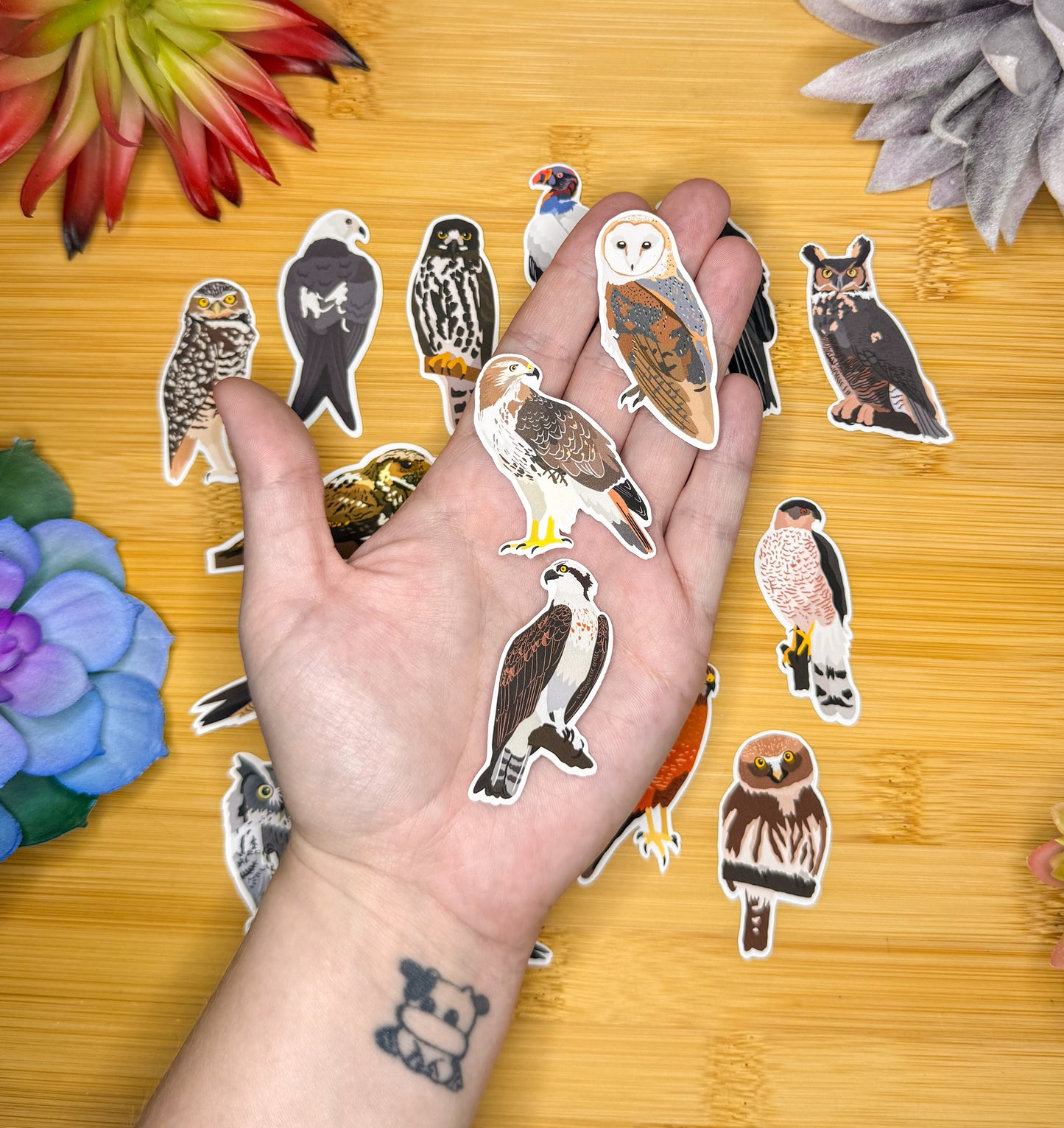 Mini Birds of Prey Sticker Pack 1