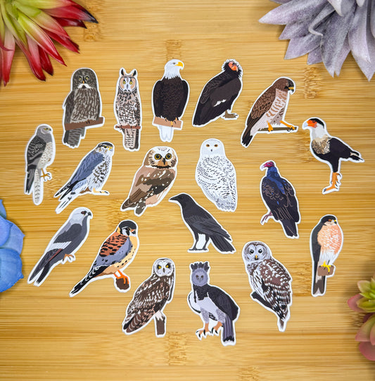 Mini Birds of Prey Sticker Pack 2