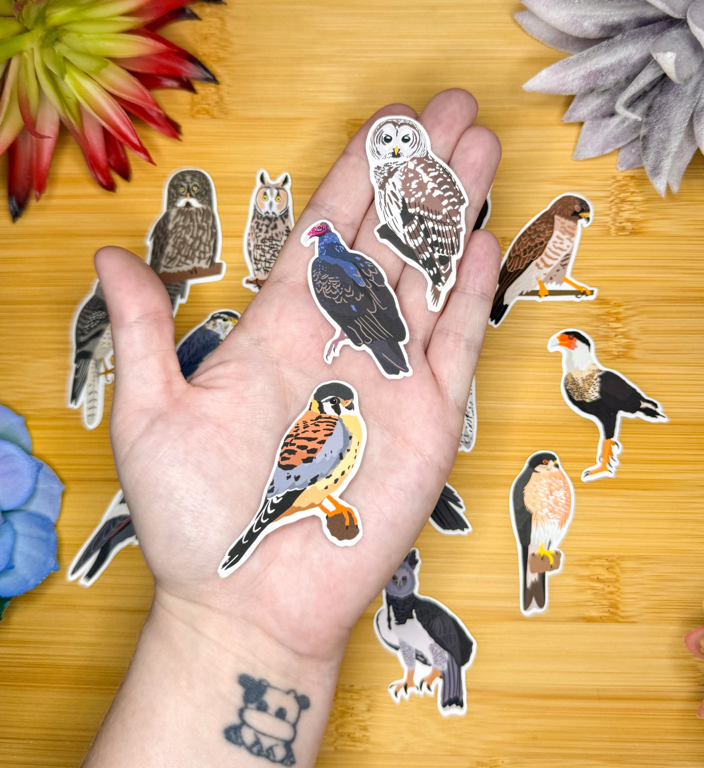 Mini Birds of Prey Sticker Pack 2