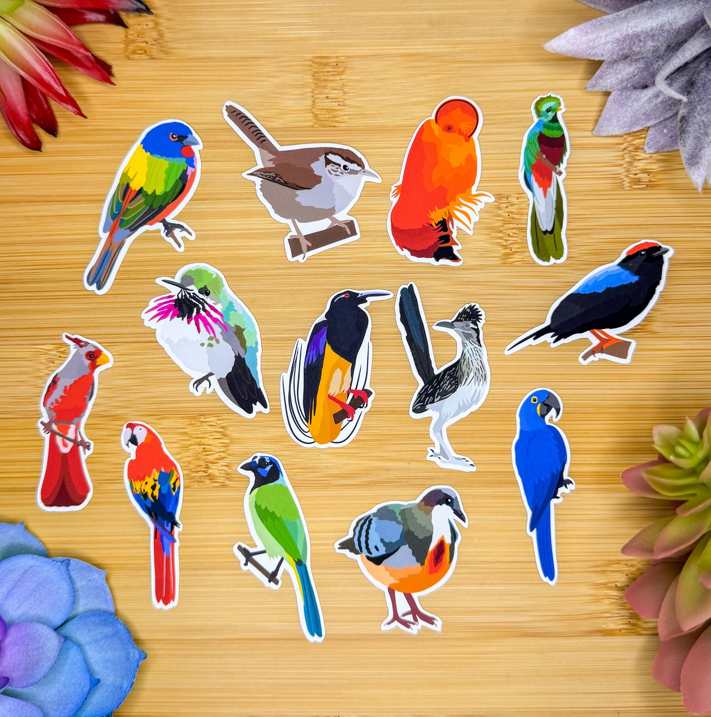 Mini Tropical Birds Sticker Pack 1