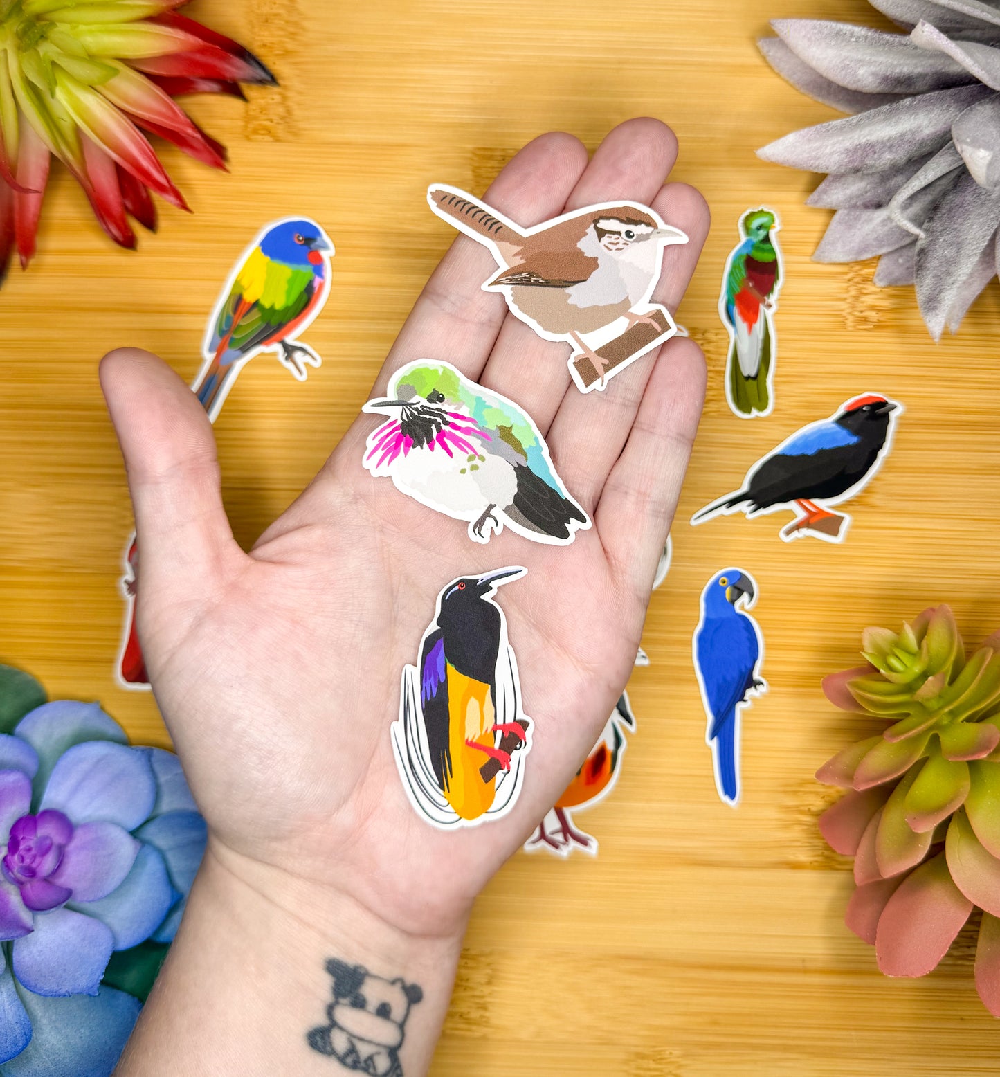 Mini Tropical Birds Sticker Pack 1