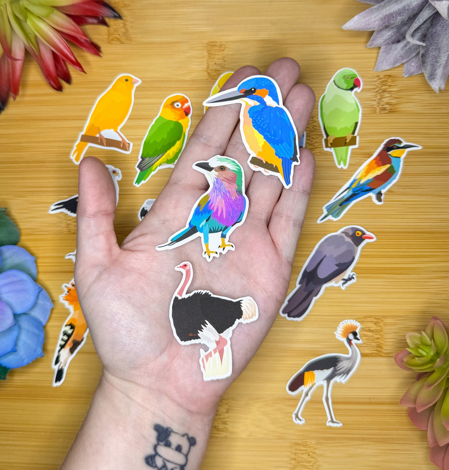 Mini African Birds Sticker Pack